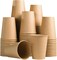 100 Count 12 oz Kraft Paper Cups, Summer Party Tableware, Disposable Hot/Cold Paper Cups, 12 Ounce Beverage Cups, Water Cups for Party, Picnic, Travel, and Events